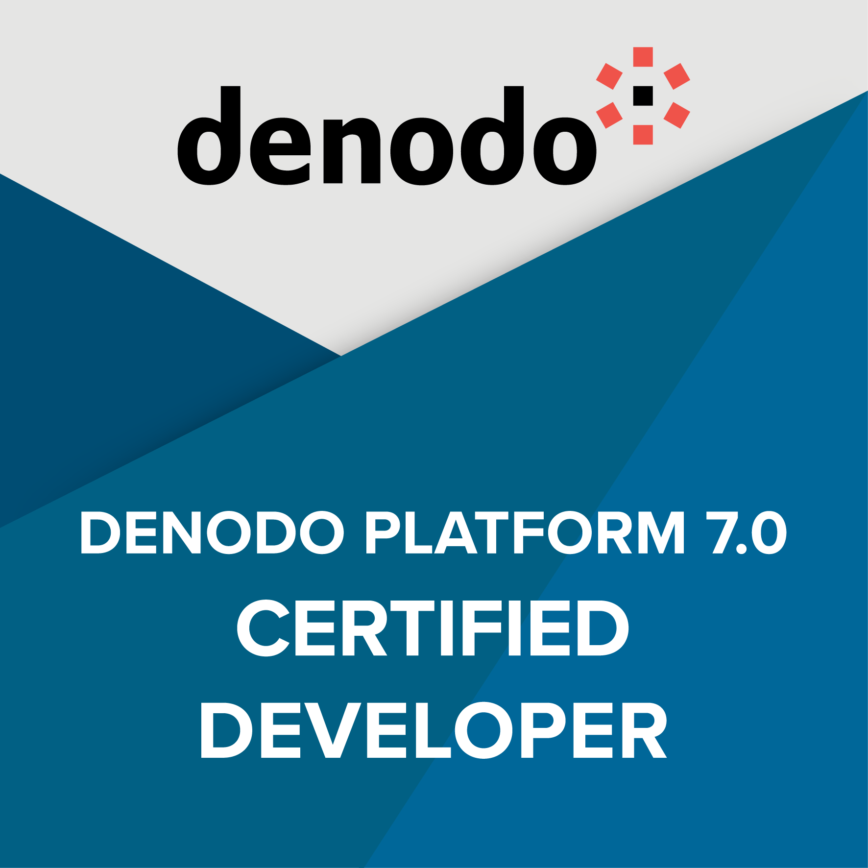 Certified Developer