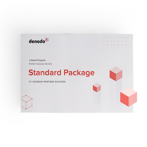  ds-partnersuccess-standardpackage-overview-detailthumbnail-500x500