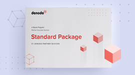 ds-partnersuccess-standardpackage-overview-listingthumbnail-270x150_0