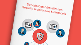 Denodo Data Virtualization Security Architecture & Protocols cover