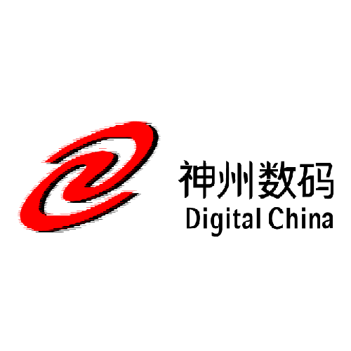 Digital China